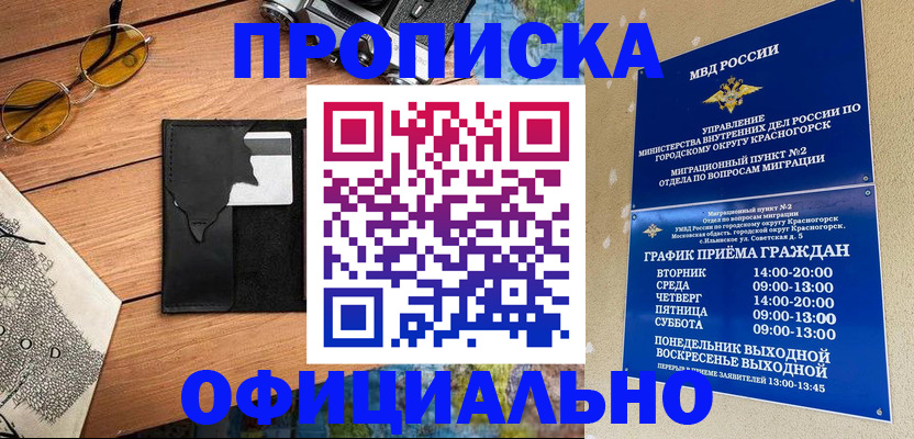 прописка поиск в Ельне